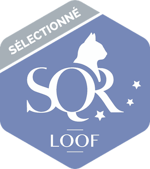 SQR : Sélectionné SQR : Sélectionné
