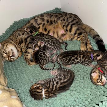 WhatsApp Image 2026-03-18 at 16.51.25