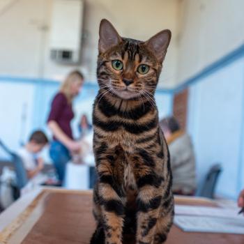 316319526_10228594082575137_580669834088389163_n